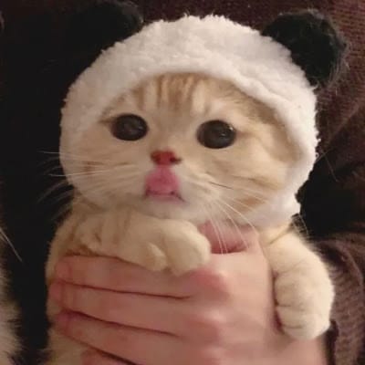 Fazal-ur-Rehman avatar